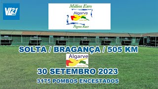 COLUMBOFILIA  FINAL DERBY GOLDEN RACE SET 2023  SOLTA BRAGANÇA  VL21 [upl. by Graham]