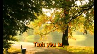 Tinh ca Thanh Son karaoke beat phoi [upl. by Gnidleif]