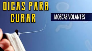 10 Dicas De Ouro Para Curar Amenizar As Moscas Volantes [upl. by Dinnage125]