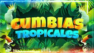 🔆CUMBIAS TROPICALES MIX 🦜VIEJITAS TROPICALES🎺ACAPULCO TROPICAL TROPICAL FLORIDA LOS KARKIS [upl. by Smaoht]