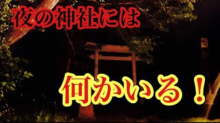 【青森県心霊スポット検証】夜の神社には、何かいる！ [upl. by Aitrop]