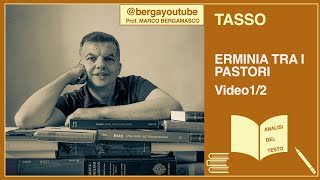 Tasso Erminia tra i pastori analisi Video 12 [upl. by Weinshienk]