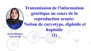 SVTBacBiofTransmission de linformation génétique Notion de caryotype diploïde et haploïde [upl. by Casandra]