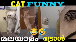 cat funny video Malayalam troll dialogue  part1  ചിരിച്ചു ചാവും 😂🤣  മലയാളം ട്രോൾ [upl. by Christye925]