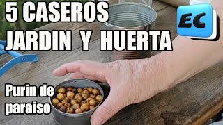 🍅🌿 5 Preparados caseros para jardin y huerta insecticidas nutrientes revitalizadores jardin [upl. by Salahi]