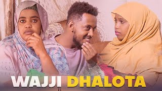 Faya Jiru  Wajji Dhalota  New movie Afaan Oromo  2024 [upl. by Lindo]