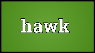 Hawk Meaning [upl. by Novart]