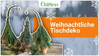 Weihnachtliche Tischdeko mit Nadelzweigen [upl. by Neale581]