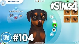 Welpe für die Apartment WG erstellen  Lets Play Die Sims 4 DschungelAbenteuer Gameplay Pack 104 [upl. by Petit136]