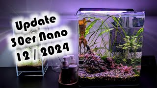 Update 30er Nano 12  2024  Pflanzen Filter 181 [upl. by Vallie]