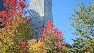 Streetwalks  008 Montréal Autumn 🍂 Peel amp Rene Levesque  October 20th 2024 [upl. by Raymonds681]