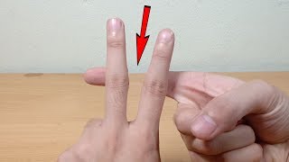 5 Magic Tricks That You Can Do [upl. by Heiney]