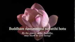 Ratana Sutta  The Jewel Discourse  Animated Subtitles amp Translations HD 720p [upl. by Yedok339]