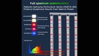 One Channel 1200W Full Spectrum Growing Light For Plants Aluminium Material [upl. by Gerick]