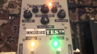 Pete Cornish TES  Tape Echo Simulator [upl. by Tammi]