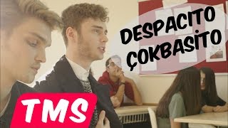 Çokbasito ft Berk Coşkun quotDespacitoquot Parodi [upl. by Landon]