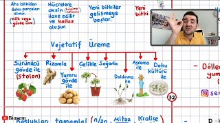 10 Sınıf 1 Dönem 2 Yazılı Tekrarı 10 sınıf biyoloji yazılı sınavı hazırlık [upl. by Lyford857]