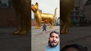 A boy throws a ball to unblock the golden statue of the big cat in the square Original golden stat [upl. by Eanahs708]