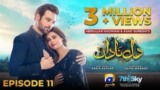 DileNadan Episode 11  Eng Sub  Mikaal Zulfiqar  Amar Khan  Ali Abbas  17th September 2024 [upl. by Siesser983]