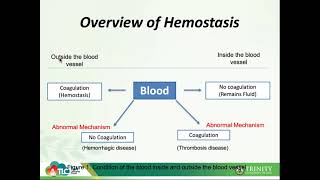 Hematology 21Introduction to Hemostasis [upl. by Anaer181]