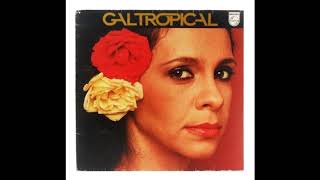 Força Estranha  Gal Costa InstrumentalKaraokê [upl. by Ailima]