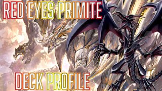 YUGIOH Red Eyes Black Dragon Primite Deck Profile [upl. by Niotna224]