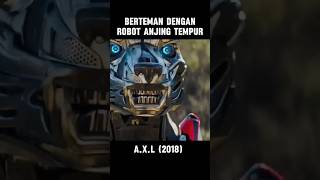 ROBOT ANJING TEMPUR alur bahasfilm movieclips [upl. by Alakam]