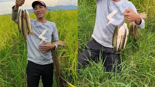 Man catches a kilo of fish during the day [upl. by Ajnos]