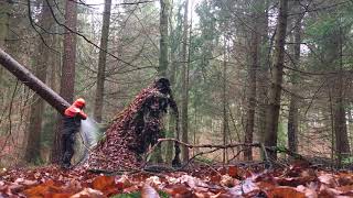 Windwurf Hänger zu Brennholz aufarbeiten [upl. by Ennaus]