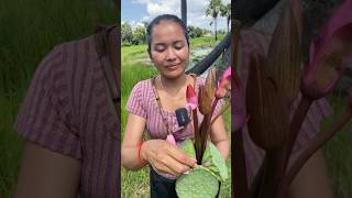 Eating water lily flower siscookingtv flowers eating [upl. by Ash583]