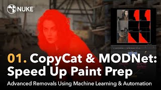 Advanced Removals  01 CopyCat amp MODNet Speed Up Paint Prep [upl. by Punak]