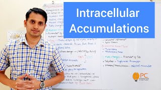 Intracellular Accumulation Part 1 Types and Mechanism of Intracellular Accumulation [upl. by Ynner939]