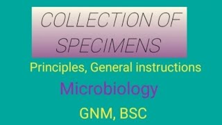 Specimen Collection From The Patients ।। Sample Collection ।। [upl. by Avilo]