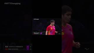 Fan Zhendong vs Tomokazu Harimoto best points ittf fanzhendong tabletennis pingpong wtt tt [upl. by Lindblad826]