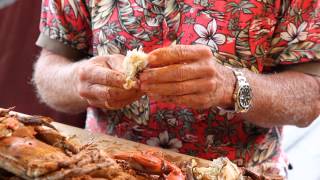 How to pick Maryland Blue Crabs [upl. by Attikin]