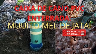 CAIXAS DE CANO PVC ENTERRADAS MUUUITO MEL DE ABELHA JATAÍ [upl. by Collier]