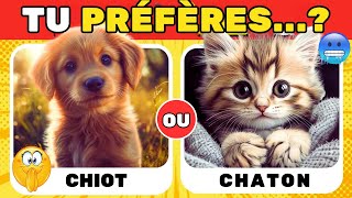 Tu Préfères Édition Animaux 🐶🐵🐯  Quizzy Logic [upl. by Narot]