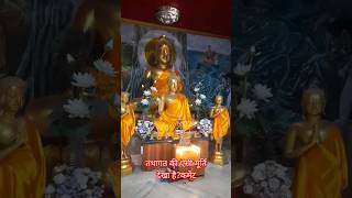 Budhha vandana walking delhiwalking tourDelhi Tour budhha delhitour tourwithbharti [upl. by Purse]