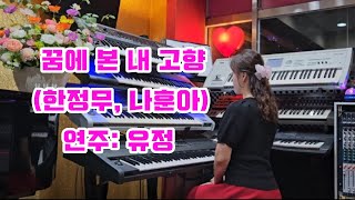 꿈에본내고향한정무나훈아유정전자올겐sd7ksd5sx900금비가요무대 [upl. by Jenine512]