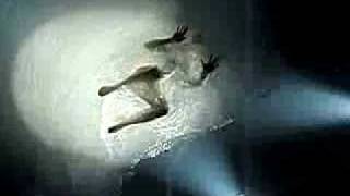 Americas Next Top Model en Fuerza Bruta NYC 2008  S10E7 Parte2 [upl. by Htaeh32]