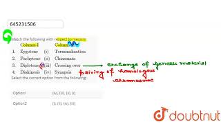 Match the following with respect to meiosis ColumnIColumnII1ZygoteneiTerminali [upl. by Boffa]