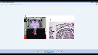 histochemistry 3 preparation of tissue sectioning and CHO histochemistry part 1 [upl. by Tipton]