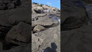 Nubble Lighthouse in York ME tga taylorsgrandadventures walkintosuccess adventure lighthouse [upl. by Yrrej279]