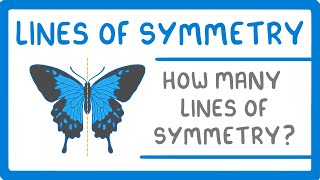 GCSE Maths  Lines of Symmetry 98 [upl. by Jaf]