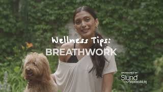 How To Do Breathwork Stay Focused and Clear  Wellness With Reshma [upl. by Aime]