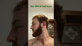 Day 494 bedhead morning series monday comedy viralvideo youtubeshorts foryou shorts fyp [upl. by Dino]