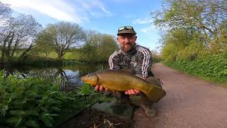 Evening session with Nathan tench fishing on Tiverton canal [upl. by Greenstein57]