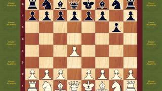 Chess Opening Book Modern Defense 1 d4 g6 Opening [upl. by Eniawtna547]