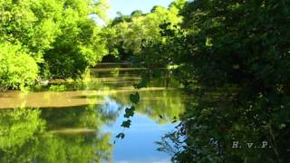 Nottawasaga Fishing Park  Angus [upl. by Teddi699]