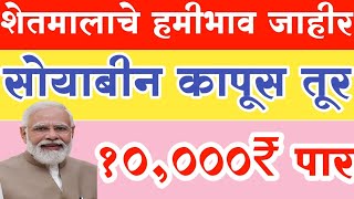 शेतमालाचे हमीभाव जाहीर  कापुस सोयाबीन तुर  MSP Rate 202425  पहा नवीन हमीभाव काय आहेत [upl. by Eustatius]